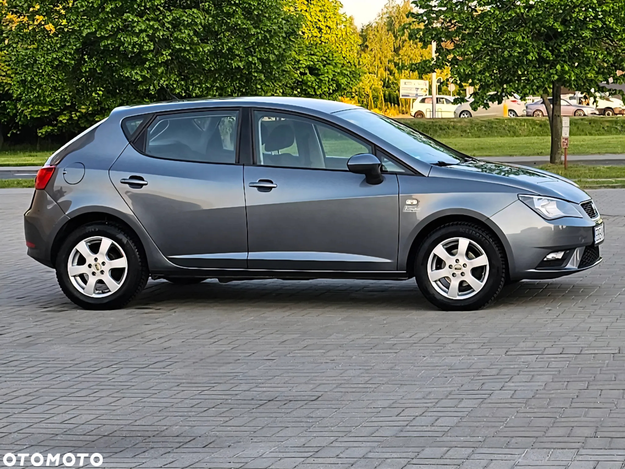 Seat Ibiza - 5