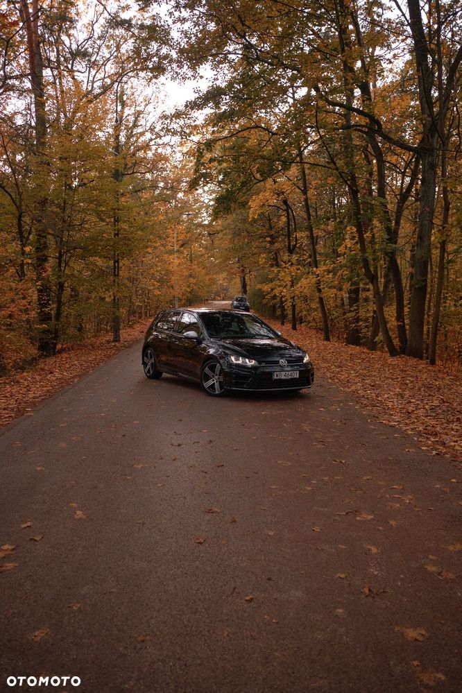 Volkswagen Golf VII 2.0 TSI BMT 4Mot R - 3