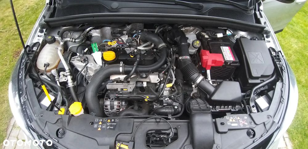 Renault Clio - 10
