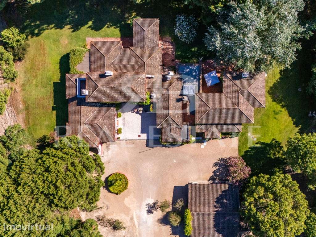 Casa T5 com anexo, em lote de 2 hectares - Jardim, Piscina, Pinhal ... - Grande imagem: 3/60