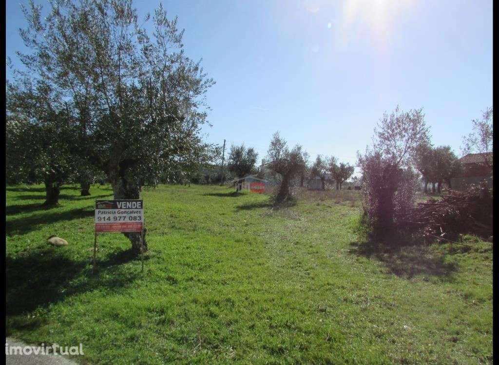 Terreno 800m2 - Grande imagem: 4/6