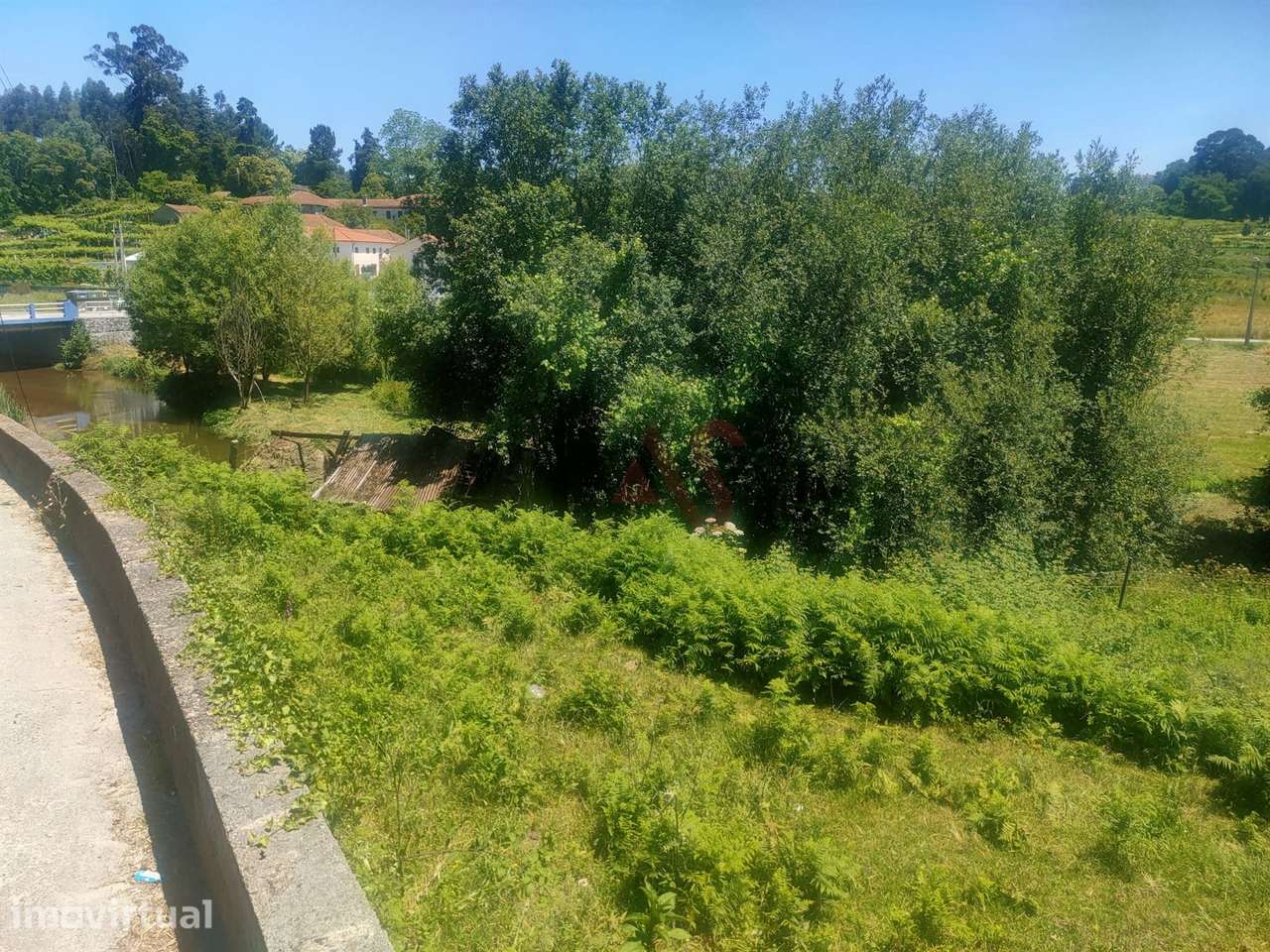 Quinta com 19000m2 dos quais 2000m2 Urbanizáveis, Composta por Moradia - Grande imagem: 4/9