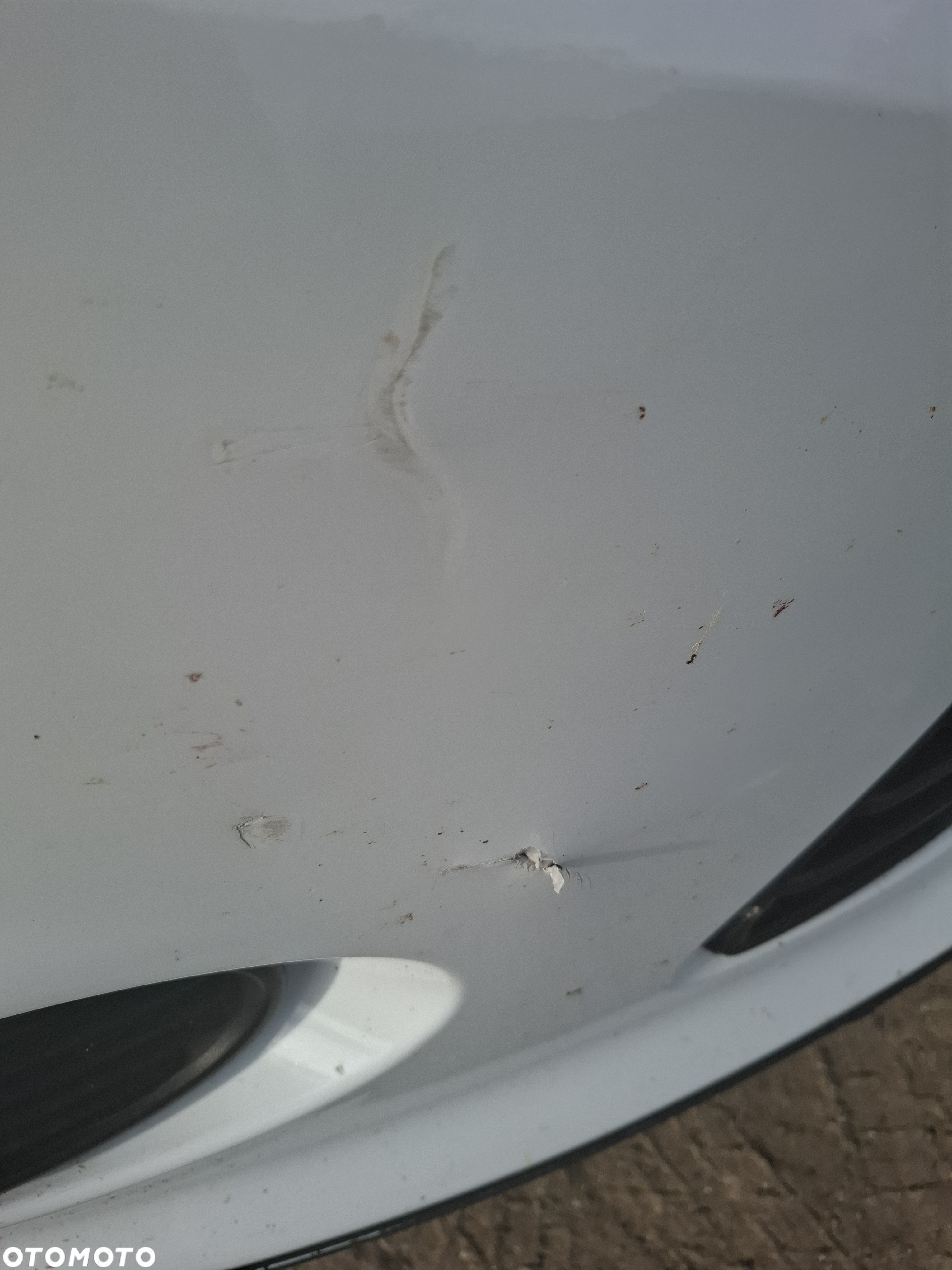 Ford Focus 1.6 EcoBoost Edition - 12