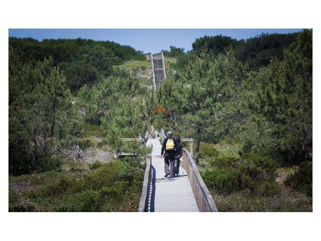 Lote de terreno em São Jacinto junto á Ria! - Grande imagem: 5/5