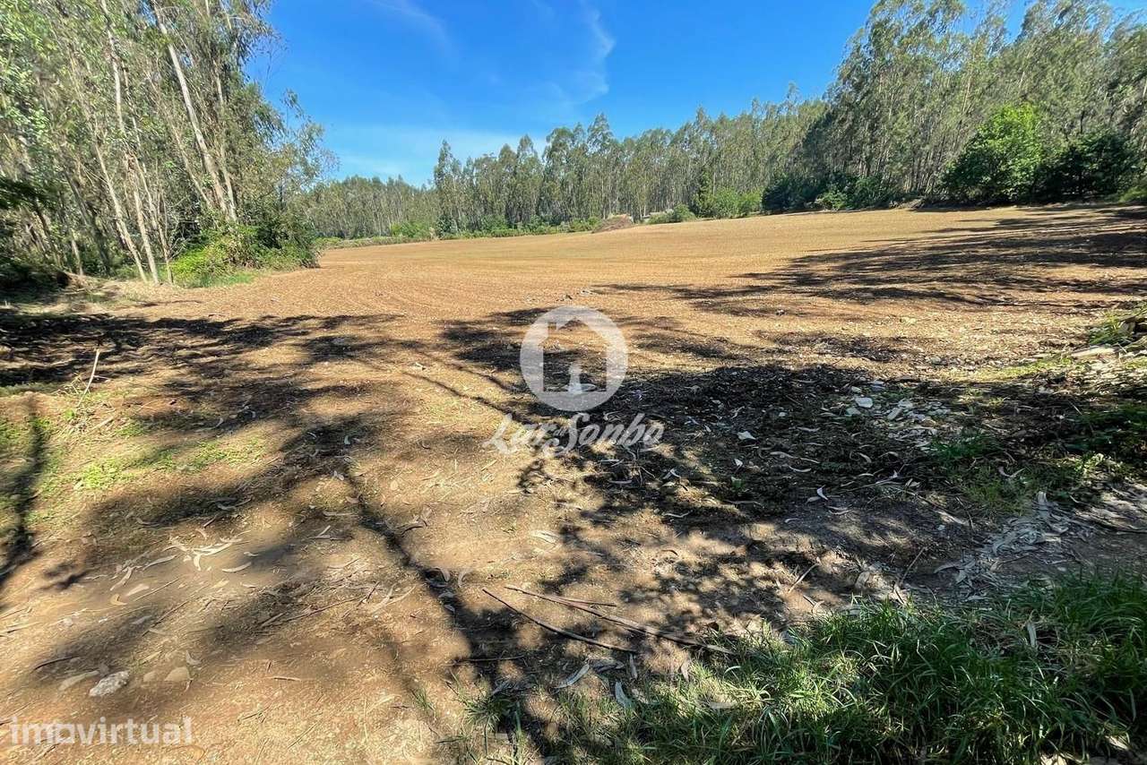 Terreno agrícola com 45.000m2 e 100m frente em Balazar, Póvoa de va... - Grande imagem: 2/4