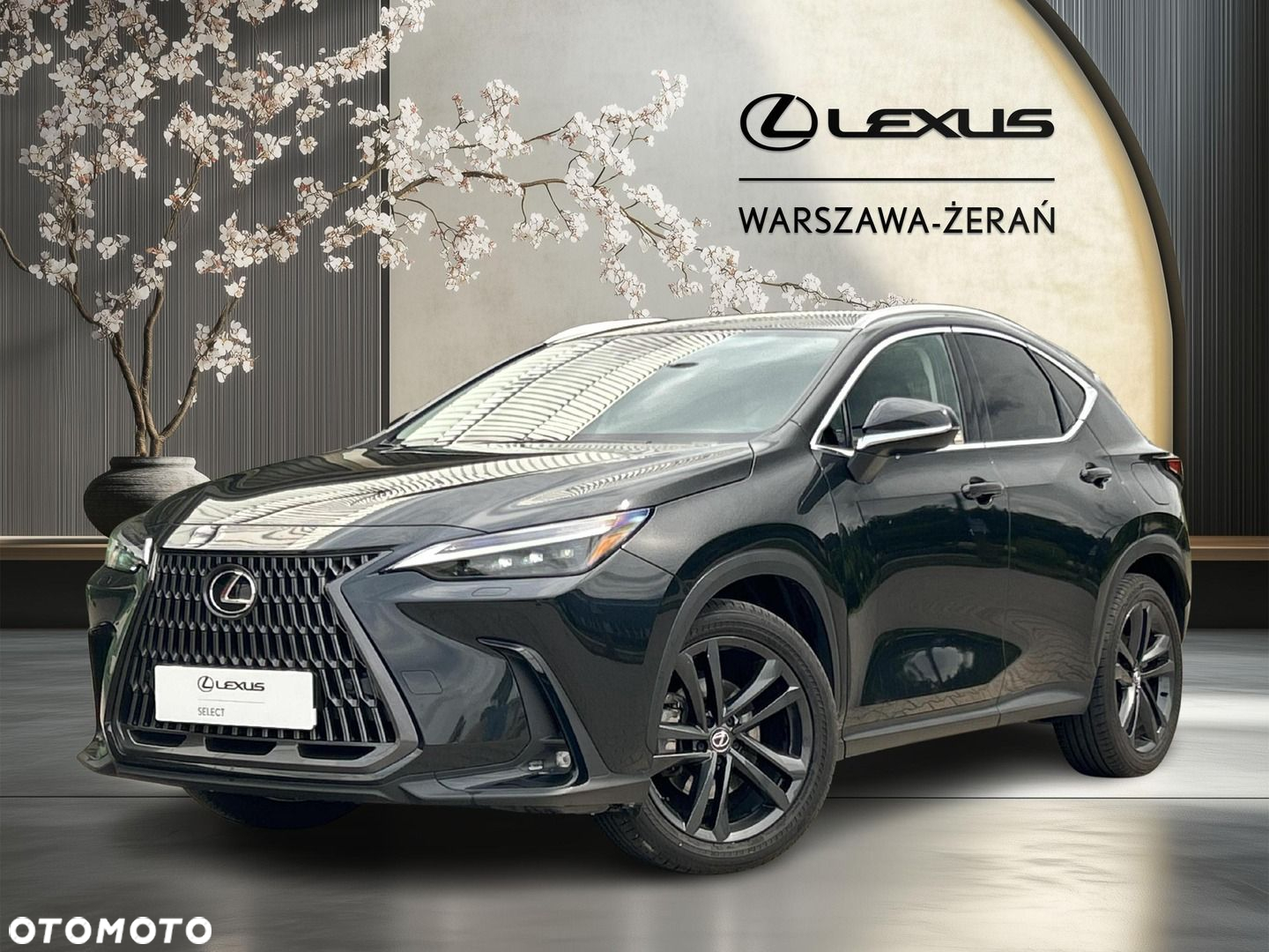 Lexus NX - 2