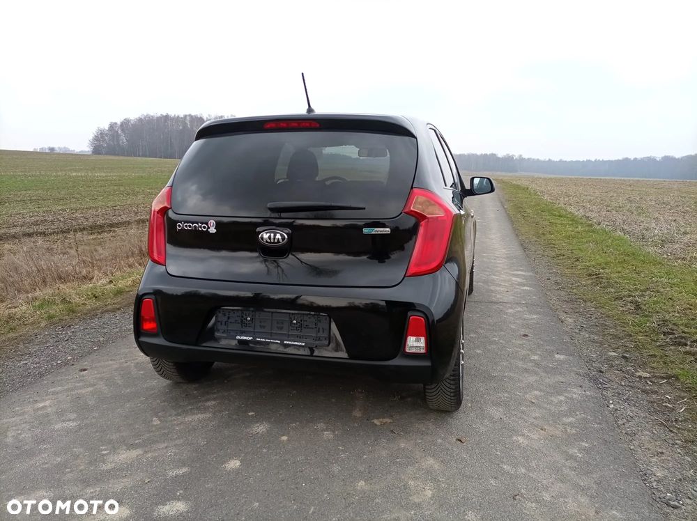 Kia Picanto - 6