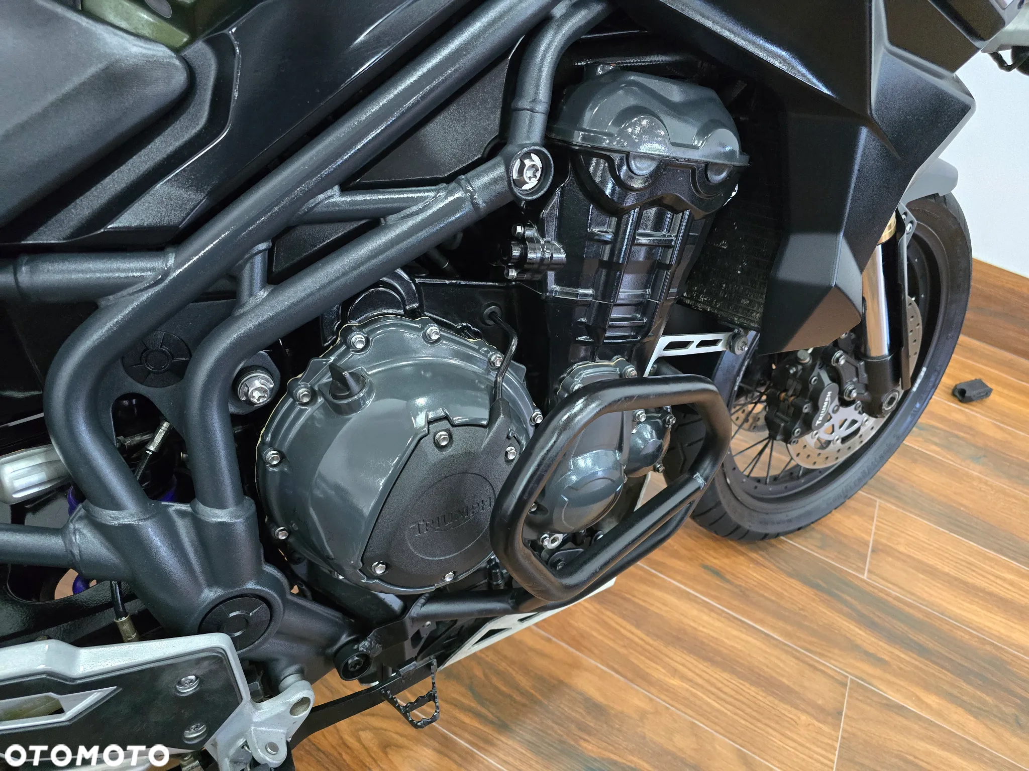 Triumph Tiger - 16