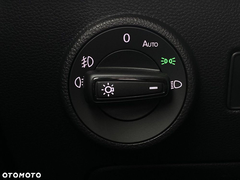 Cupra Ateca 2.0 TSI 4Drive DSG - 32