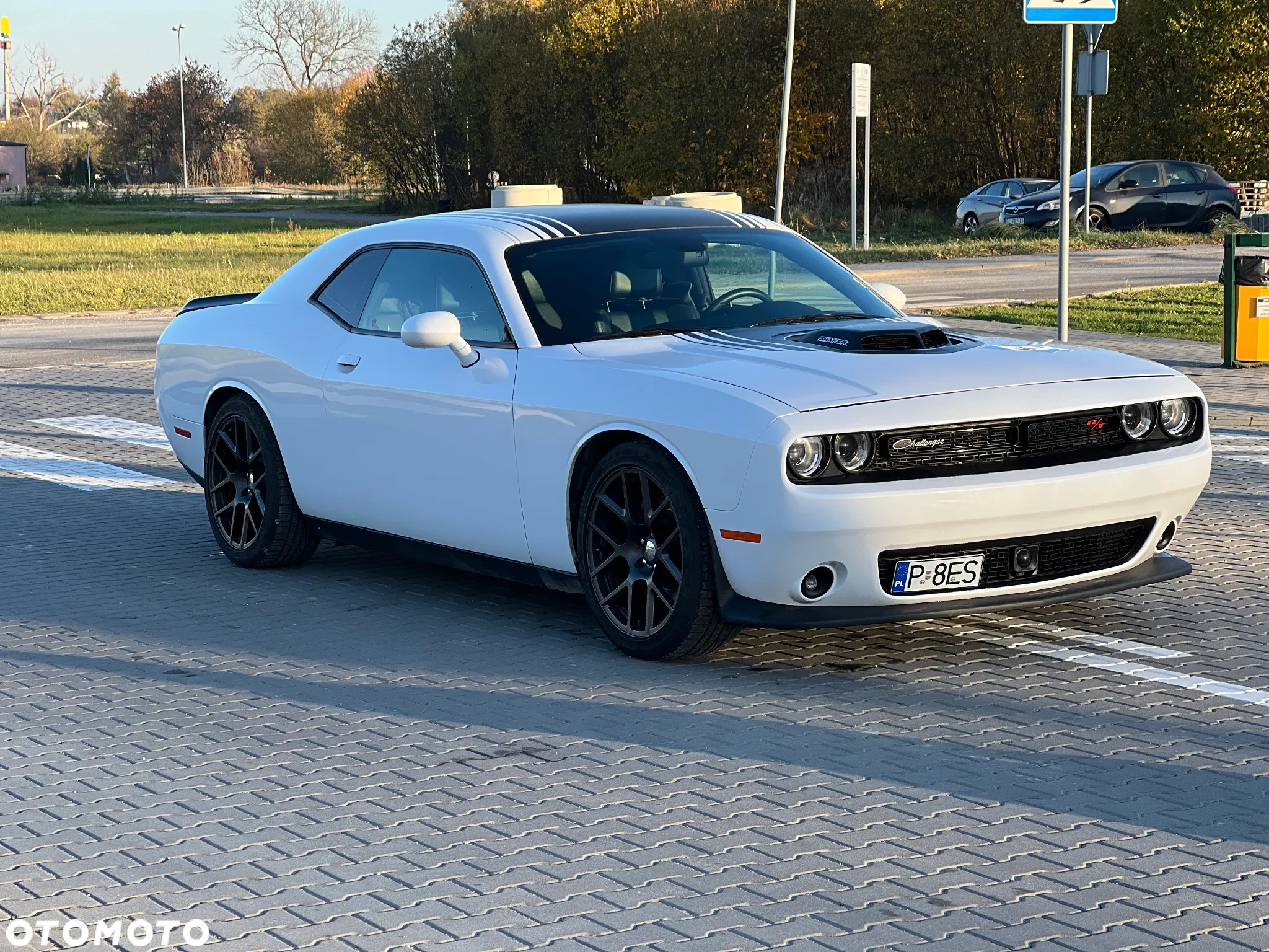 Dodge Challenger Automatik R/T Plus Shaker - 2