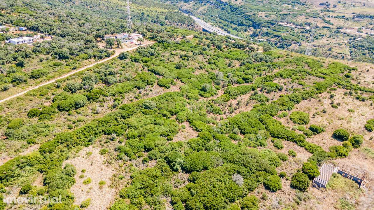 Terreno - Grande imagem: 3/12