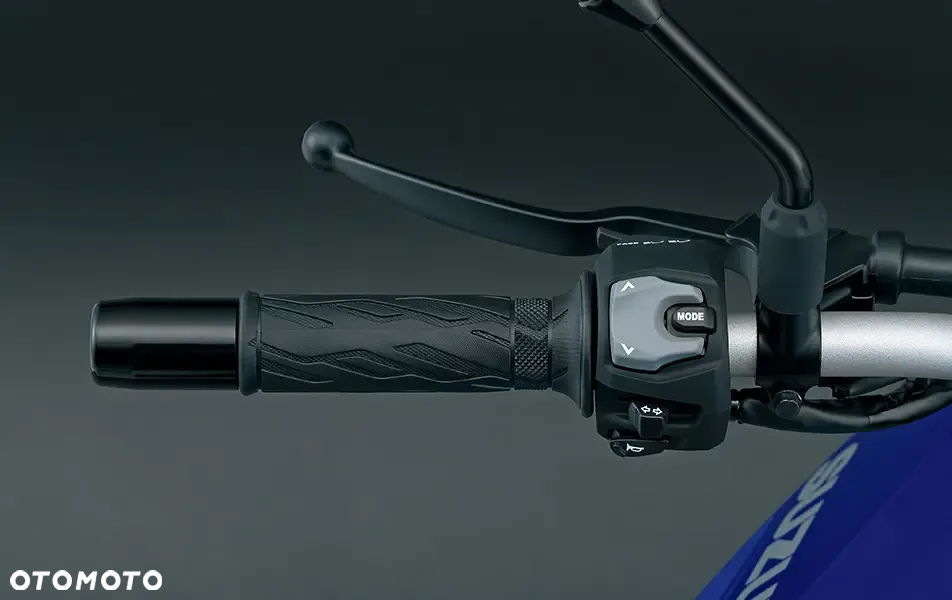 Suzuki V-STROM - 6