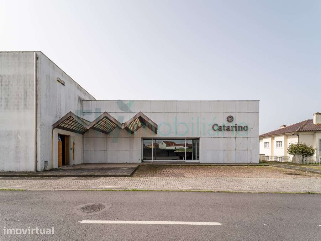 Pavilhão Industrial com Elevado Potencial de Investimento - Grande imagem: 3/51