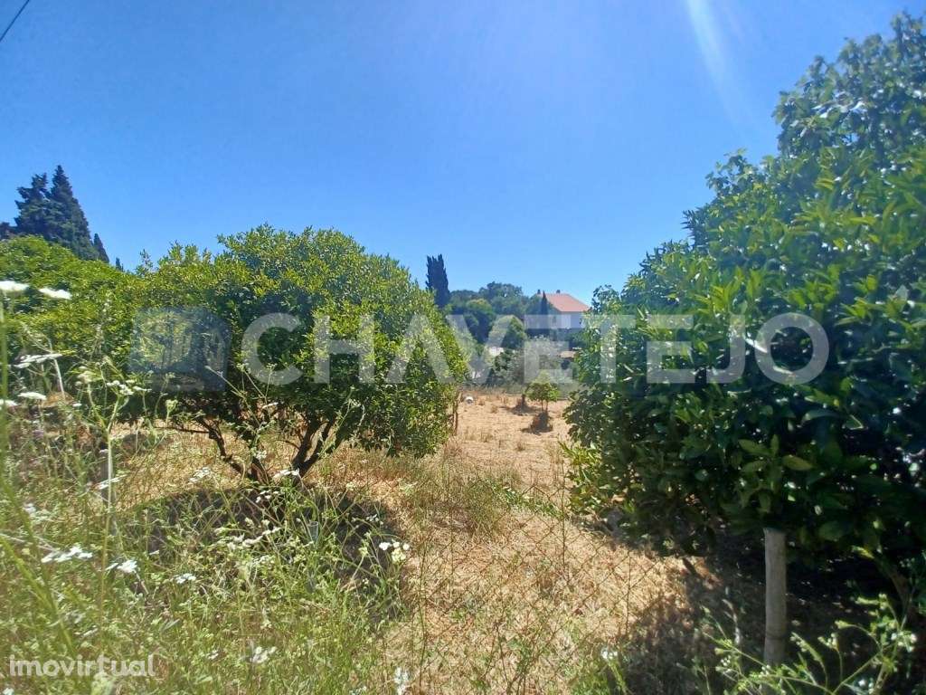 Terreno com 800 m2 perto da albufeira do Castelo do Bode. - Grande imagem: 2/7