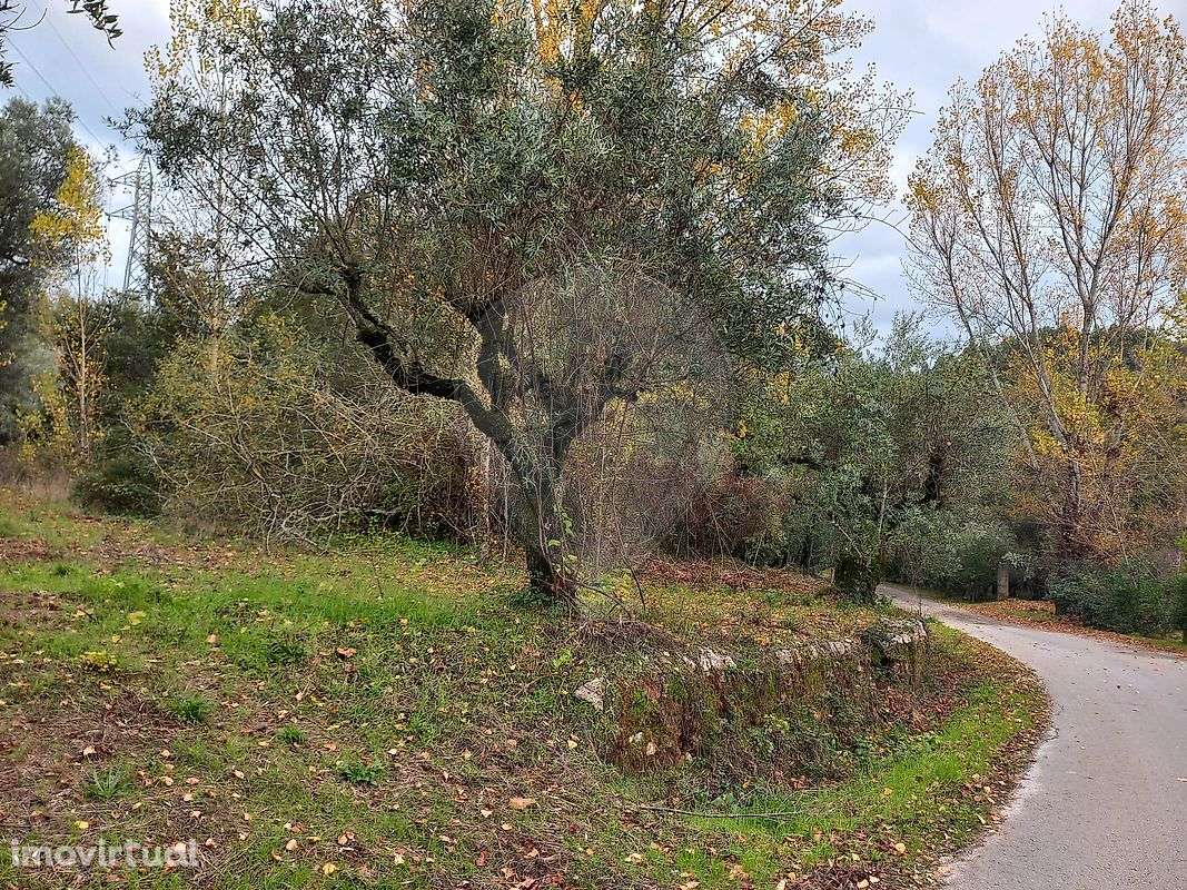 Terreno  para venda - Grande imagem: 3/3