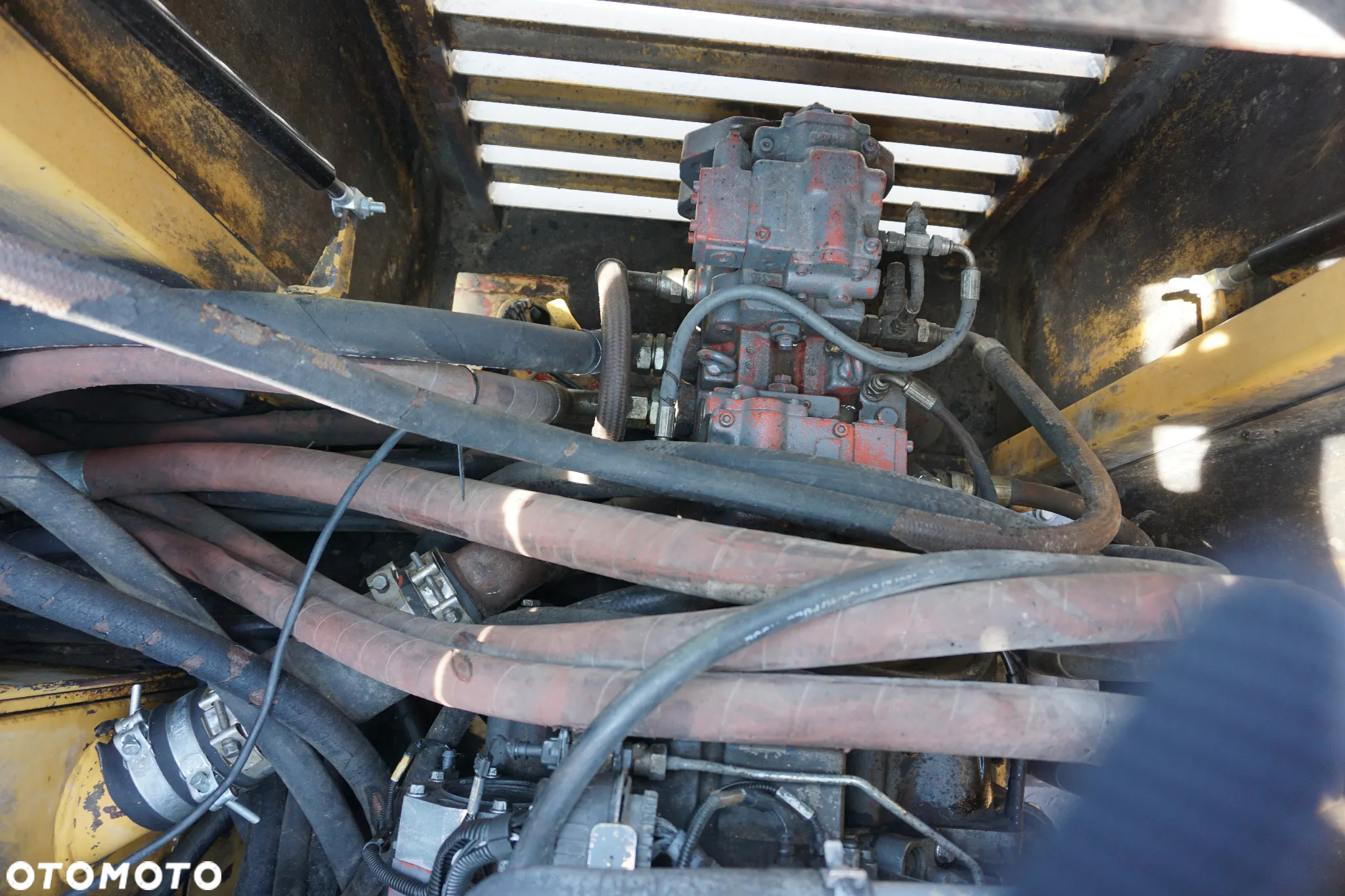 Extec C10 Pitbull - 13