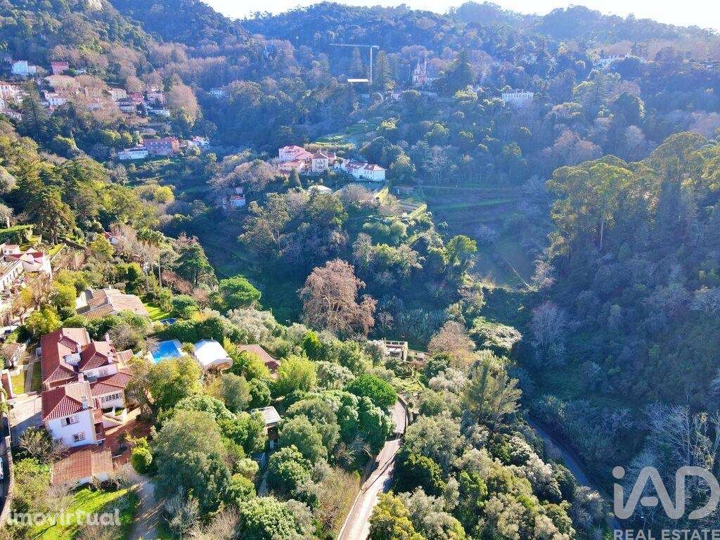Casa de Campo T4 em Sintra (Santa Maria e São Miguel, São Martinho e S - Grande imagem: 3/27
