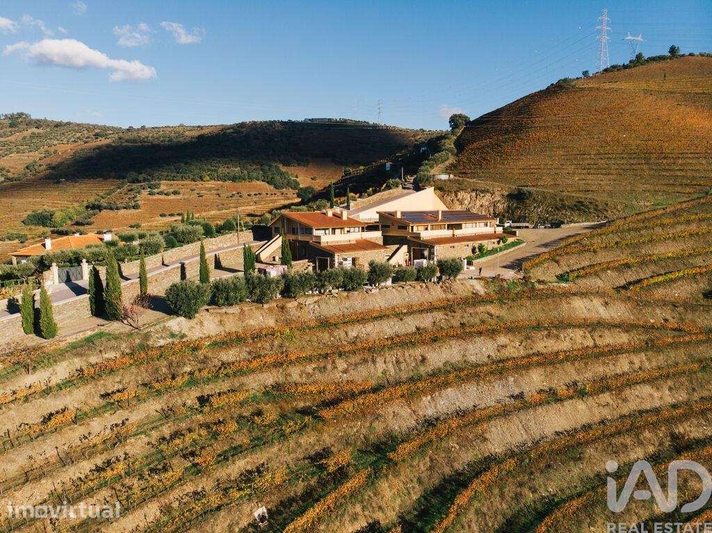 Quinta T6 em Folgosa de 2594 m2 - Grande imagem: 3/40