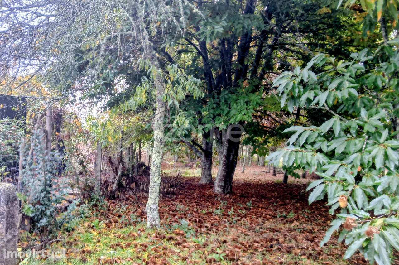 Terreno em Abraveses, Viseu - Grande imagem: 4/17