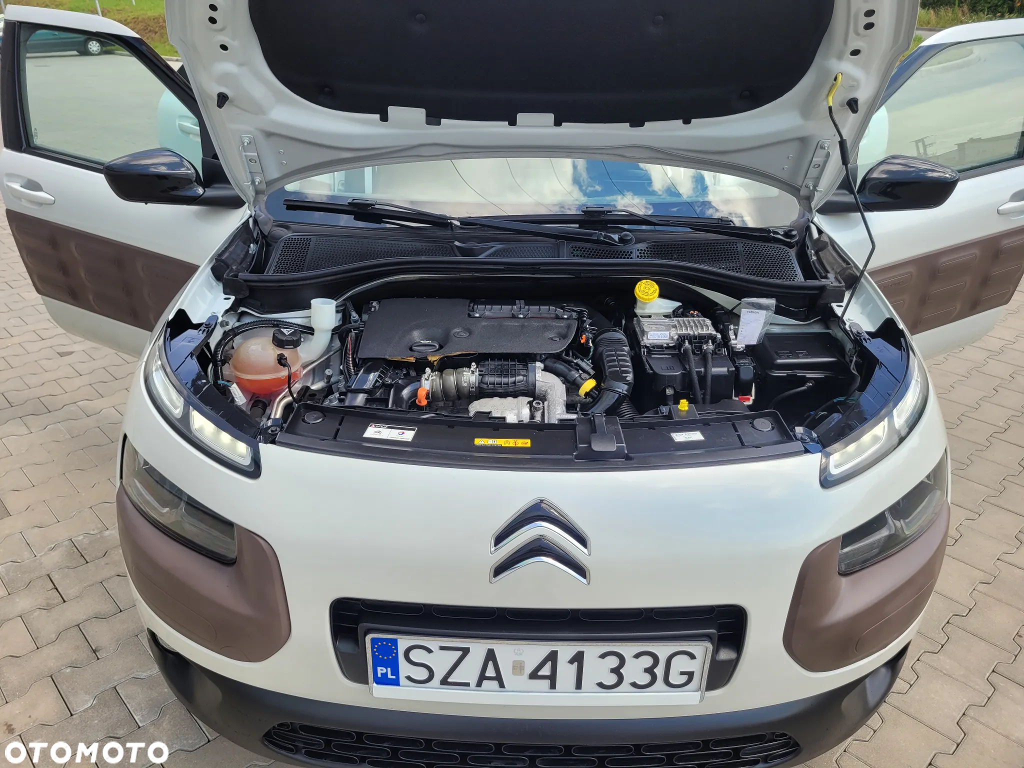 Citroën C4 Cactus 1.6 Blue HDi Shine Edition - 37