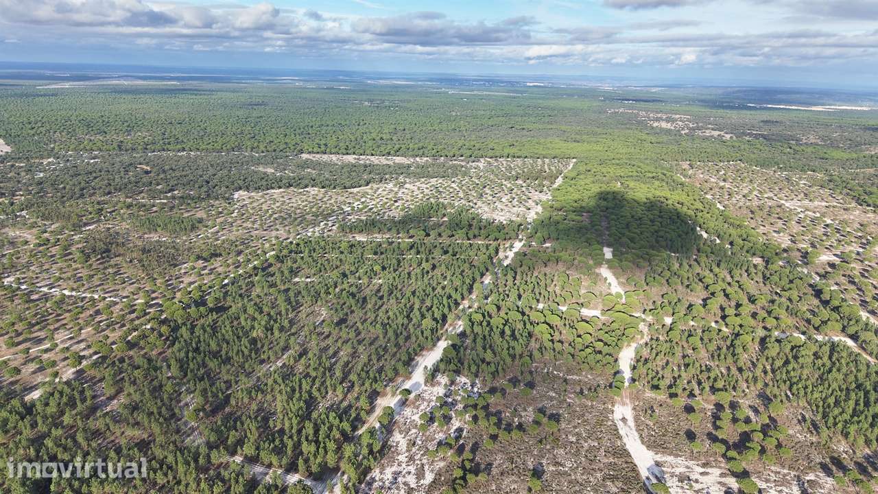 Terreno agrícola em Grândola - Grande imagem: 4/27