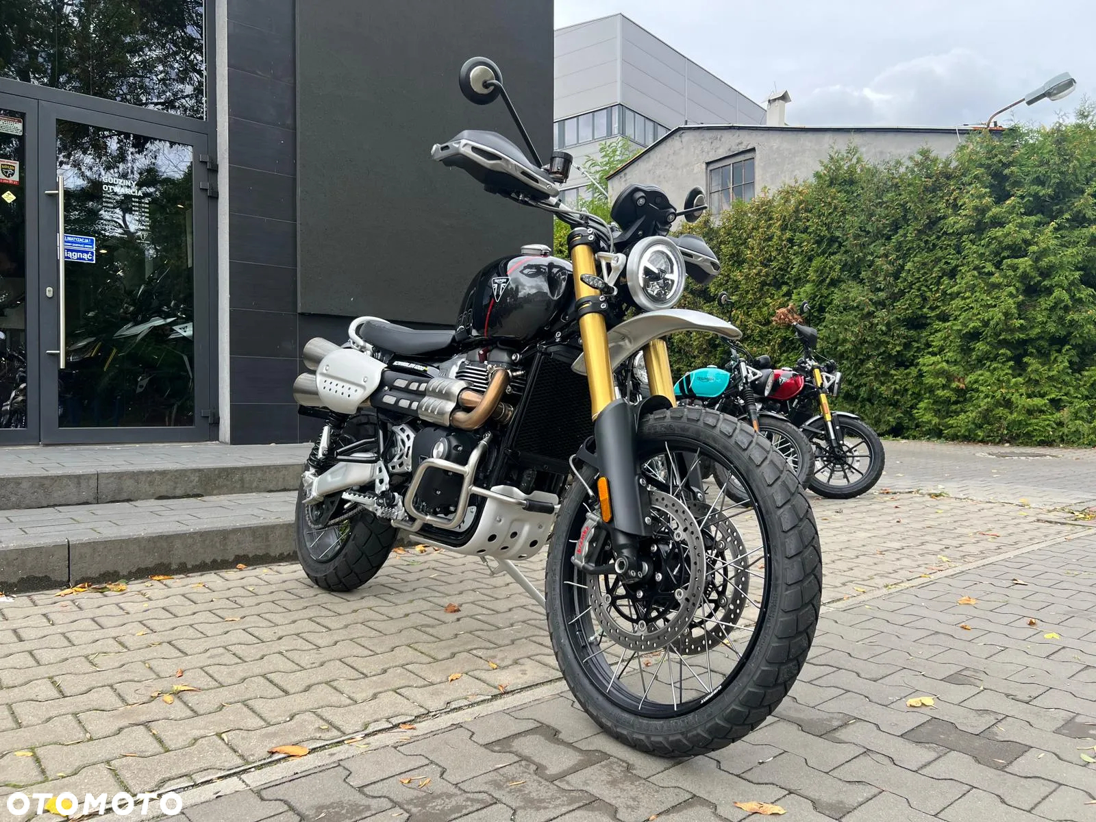Triumph Scrambler