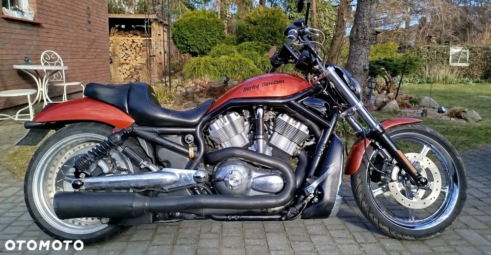 Harley-Davidson Softail V-Rod - 21