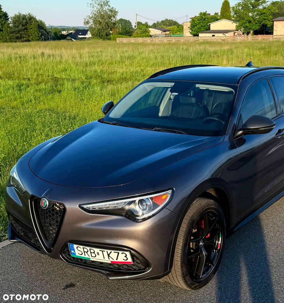Alfa Romeo Stelvio 2.0 Turbo Veloce Q4 - 1