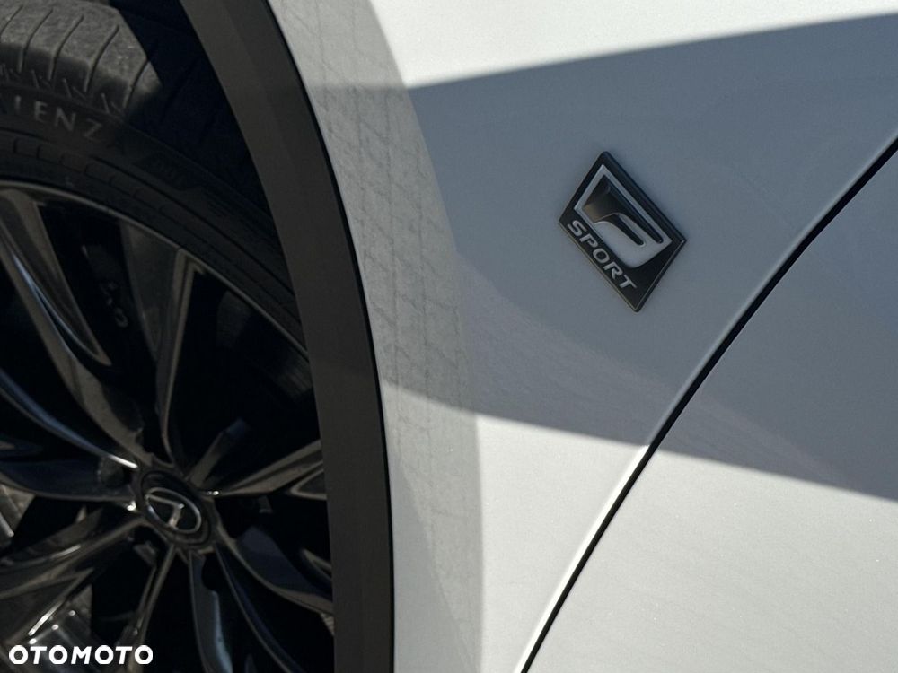 Lexus NX - 25