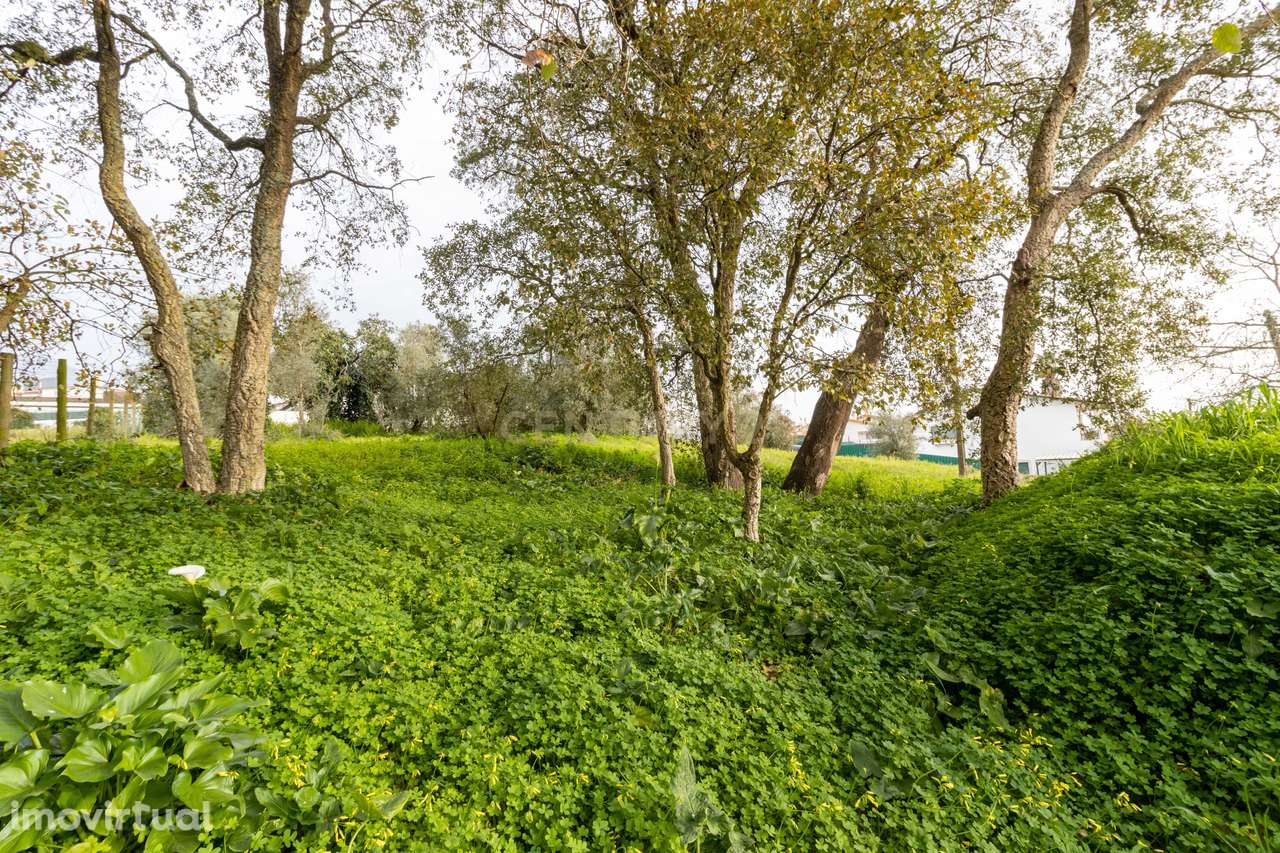 Terreno Urbano || Andrinos || Leiria - Grande imagem: 5/5