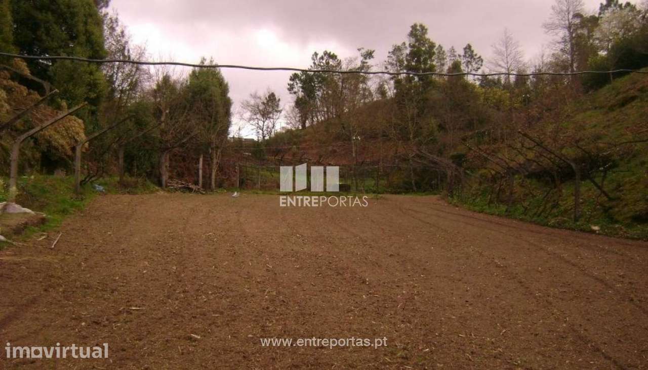 Venda Terreno, Soalhães, Marco de Canaveses - Grande imagem: 2/14
