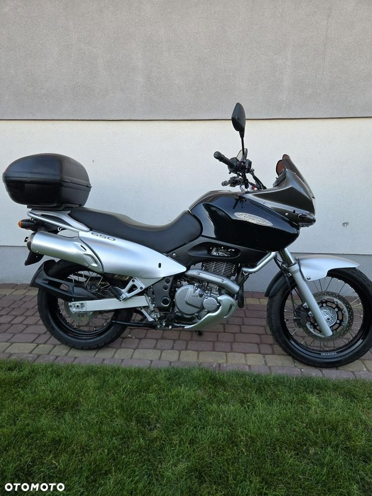 Suzuki XF - 5