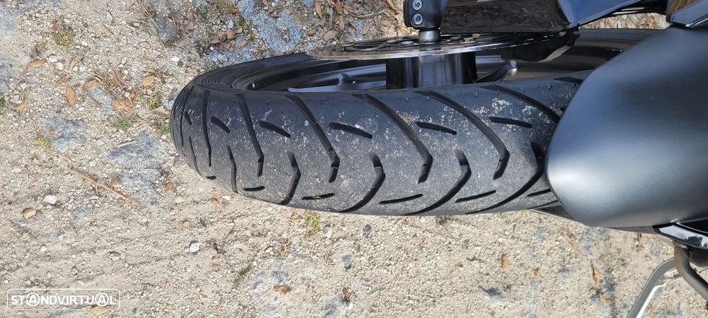 Triumph Tiger GT Pro - 16