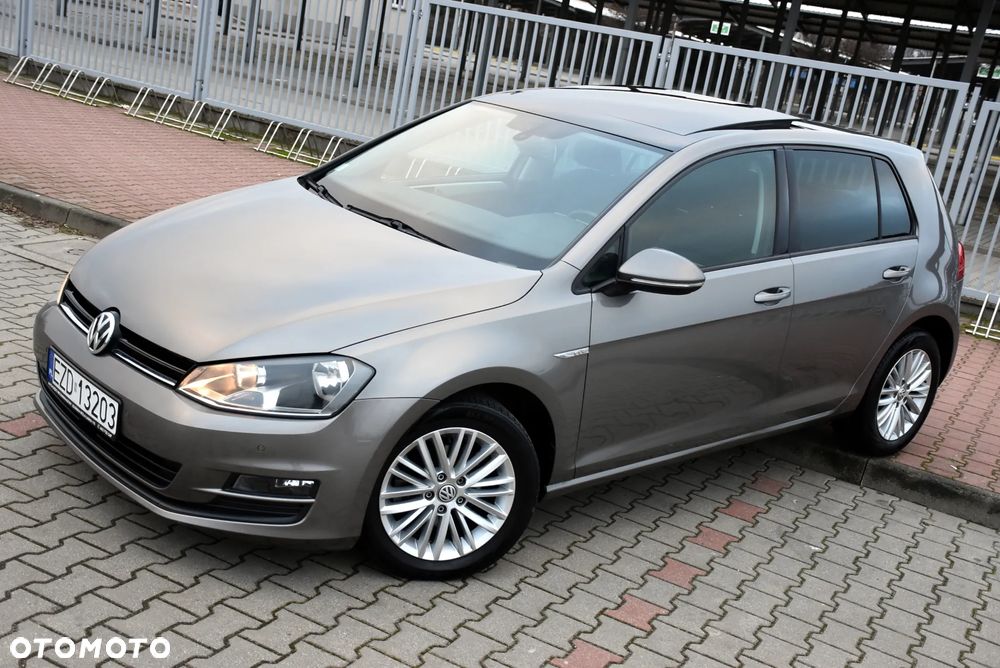 Volkswagen Golf 1.6 TDI BlueMotion Technology Cup - 10