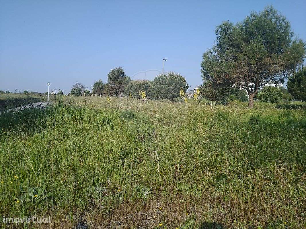 Terreno  para venda - Grande imagem: 4/15