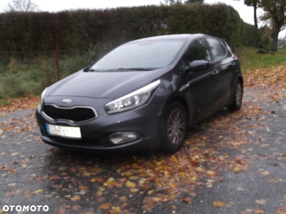 Kia Ceed - 1