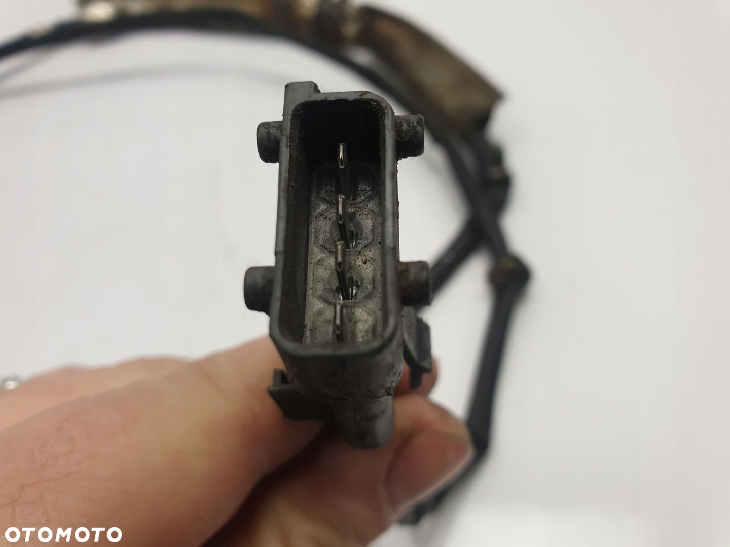 wst様依頼品 imgrc0080706808.jpg