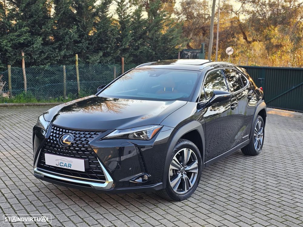 Lexus UX 300e Luxury Line - 1