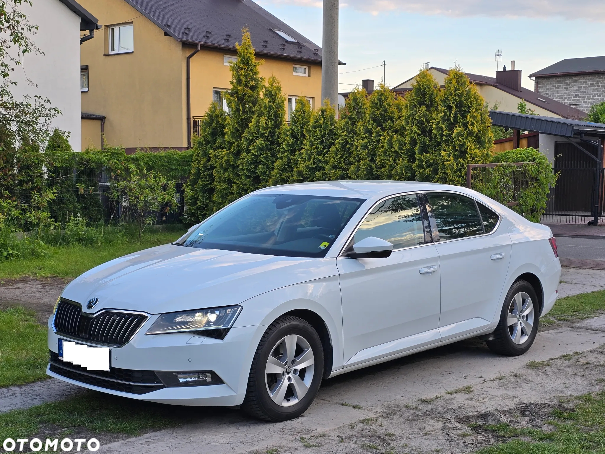 Skoda Superb 2.0 TDI Sportline DSG - 30