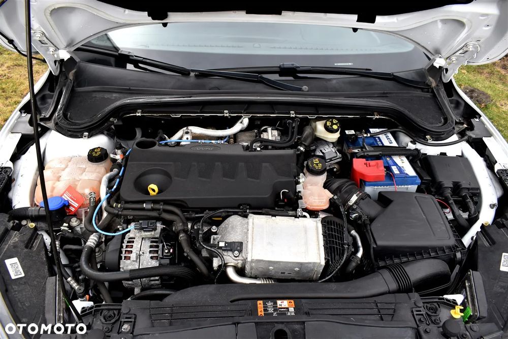 Ford Focus 2.0 EcoBlue ST-Line Business - 37