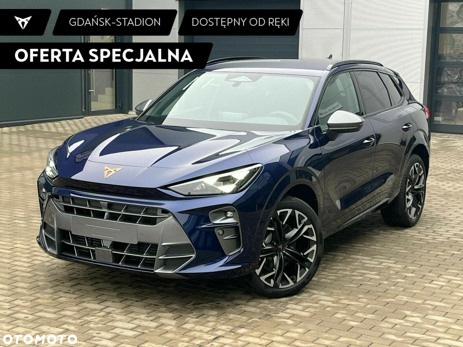 Cupra Terramar - 2