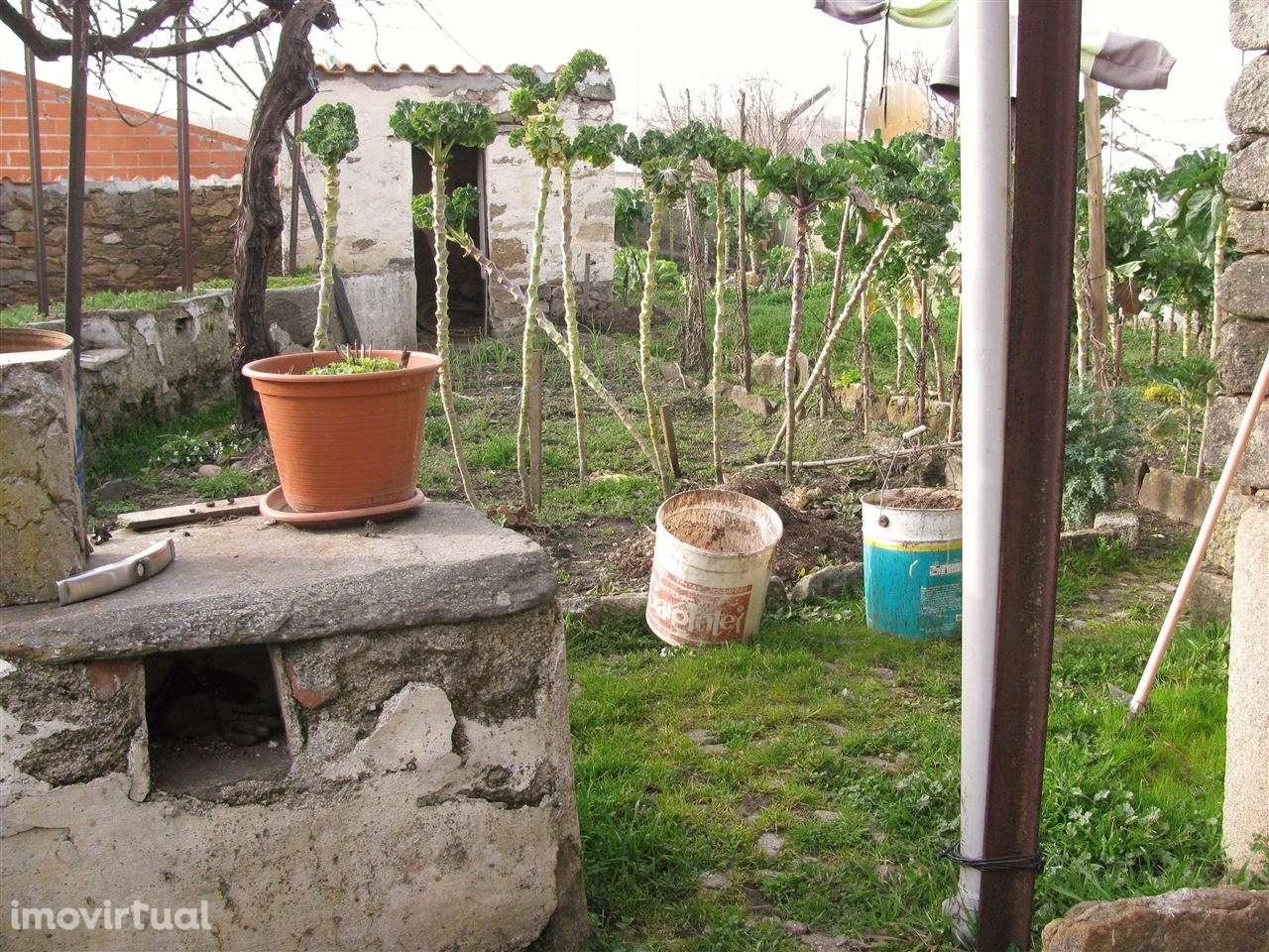 Prédio zona histórica Miranda do Douro - Grande imagem: 5/25