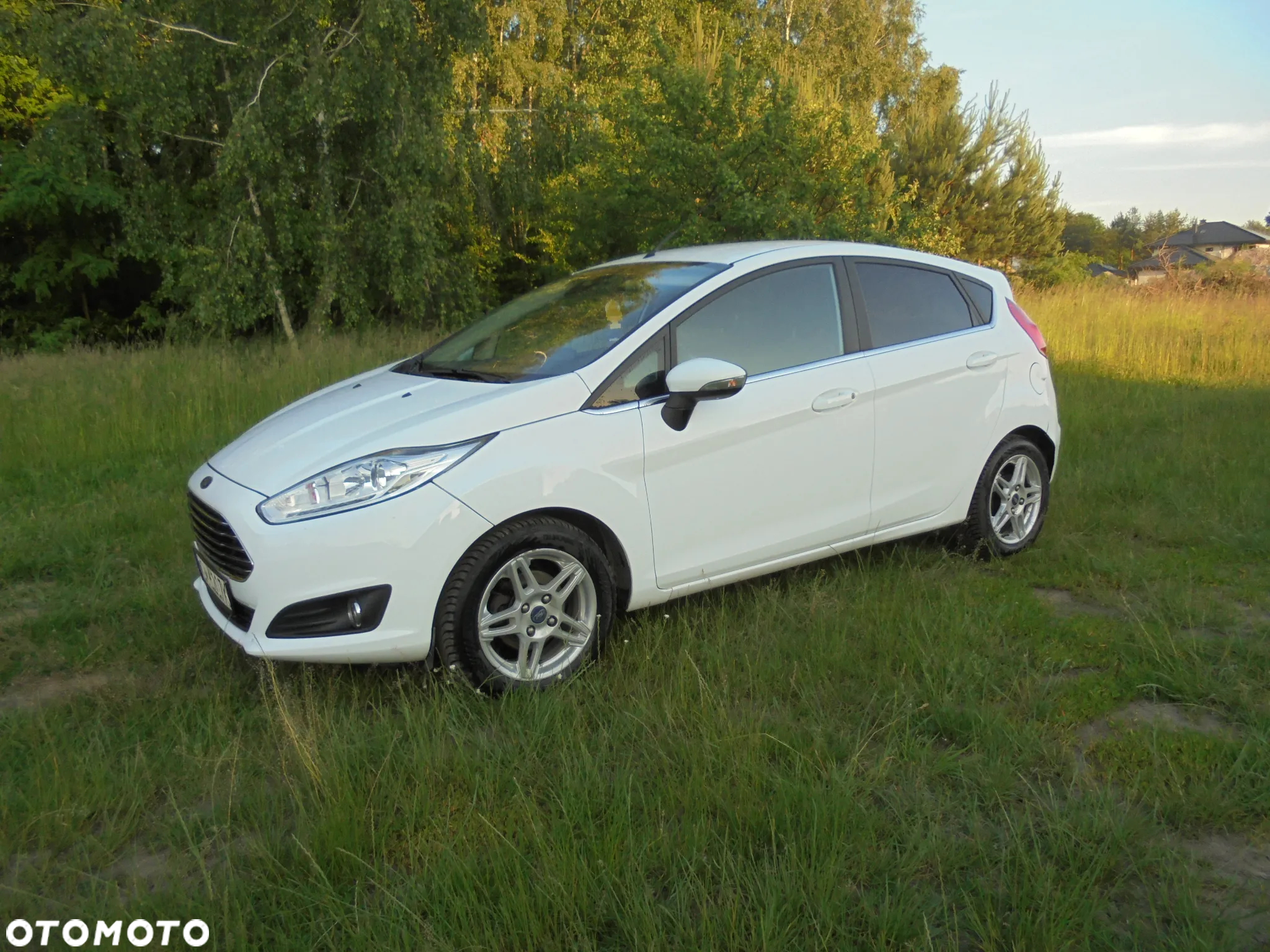 Ford Fiesta 1.6 TDCi Titanium - 12