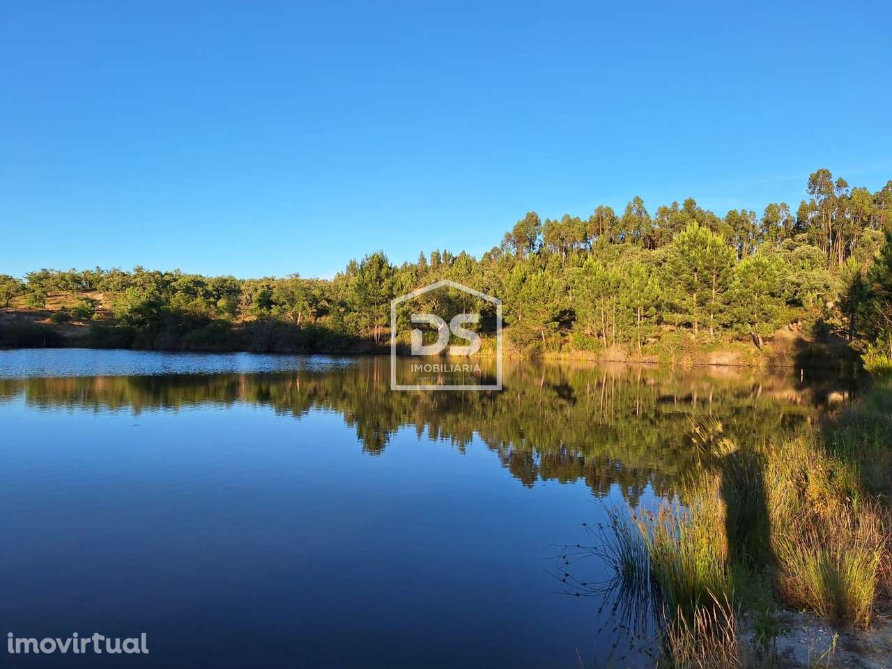 Herdade  Venda em Raposa,Almeirim - Grande imagem: 4/27