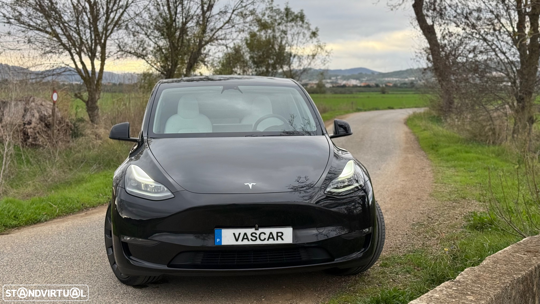 Tesla Model Y - 3