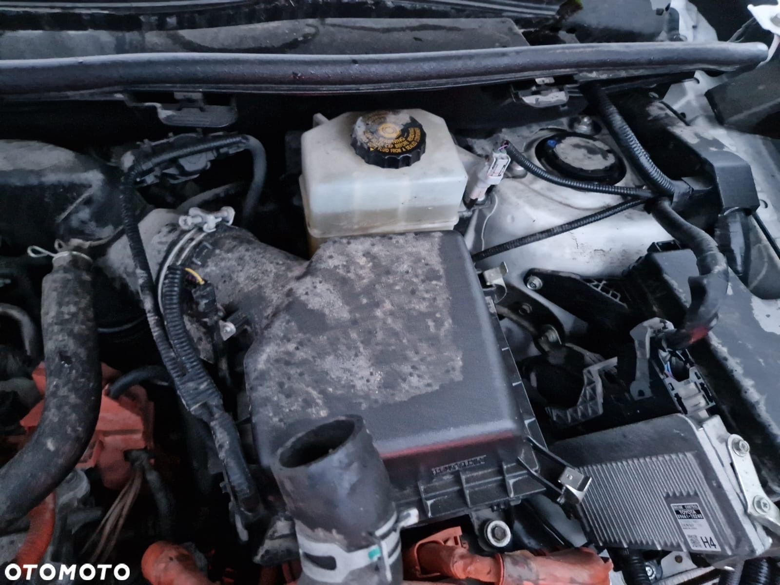 Filtr powietrza Lexus NX300h 14-21r. - 1