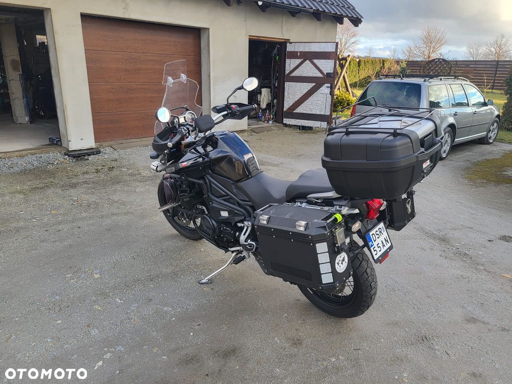 Triumph Tiger - 15