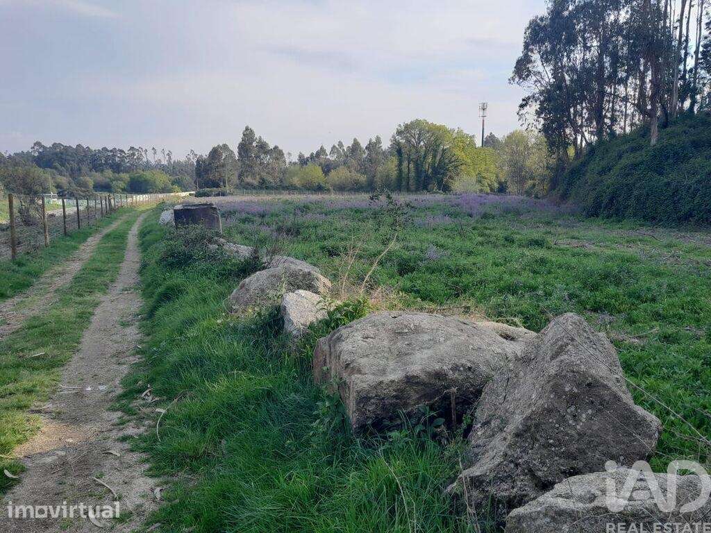 Terreno Agrícola em Requião - Grande imagem: 3/5