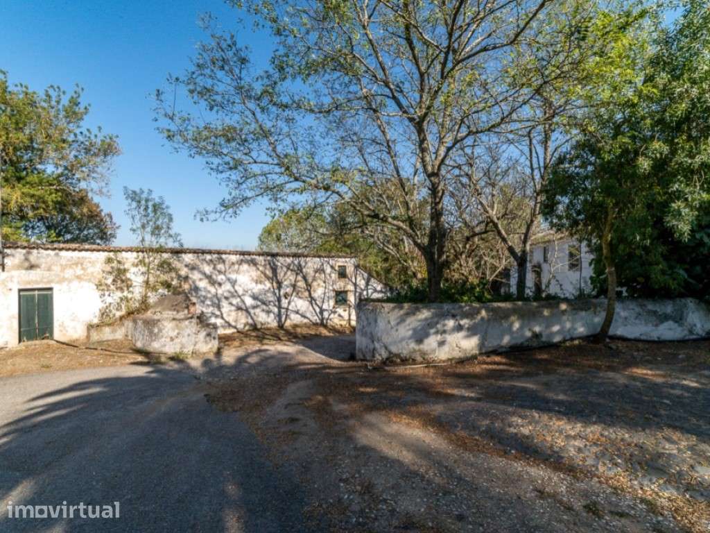 Quinta - Freiria - Sobral Monte Agraço - Grande imagem: 5/19