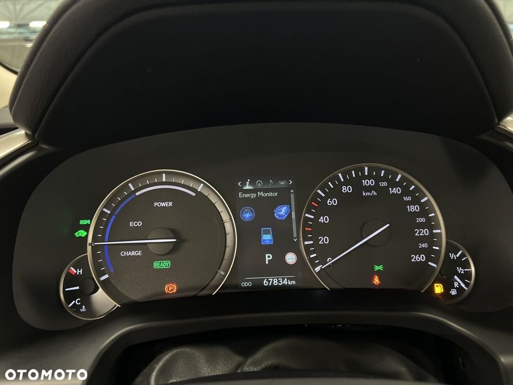 Lexus RX 450h F-Impression - 23